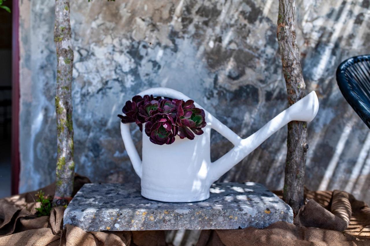 Masseria Pezza Salice Salentino Luaran gambar